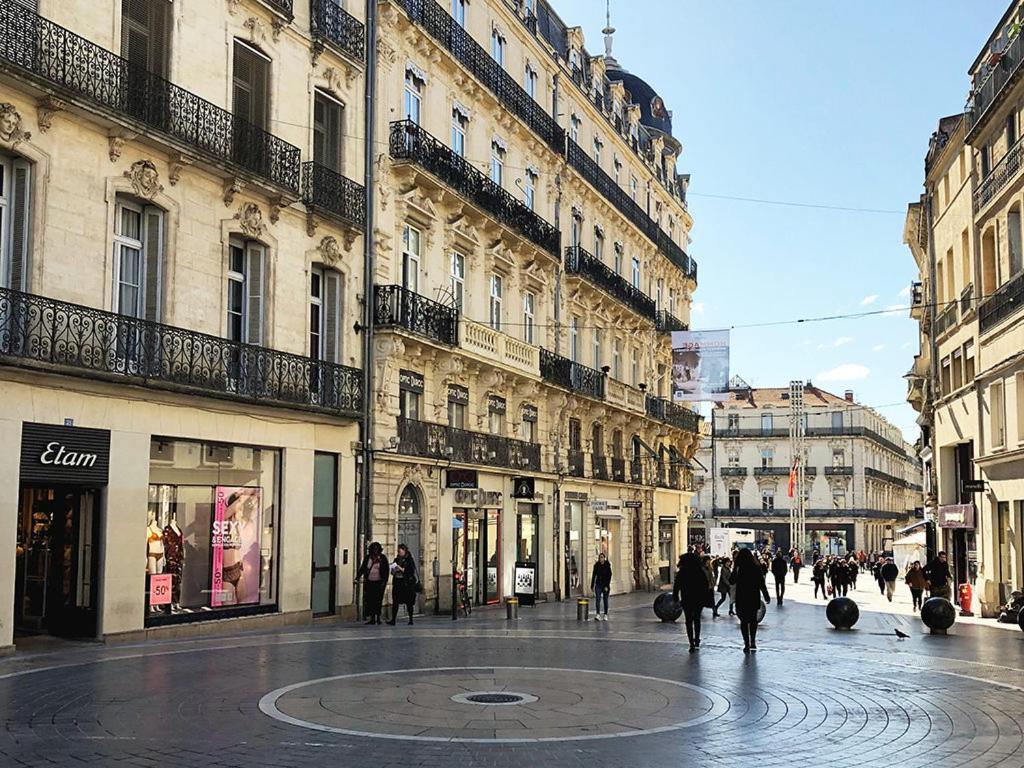Le Cocon Montpellierain By Smartappart Montpellierain - Jardin Proche Corum ภายนอก รูปภาพ